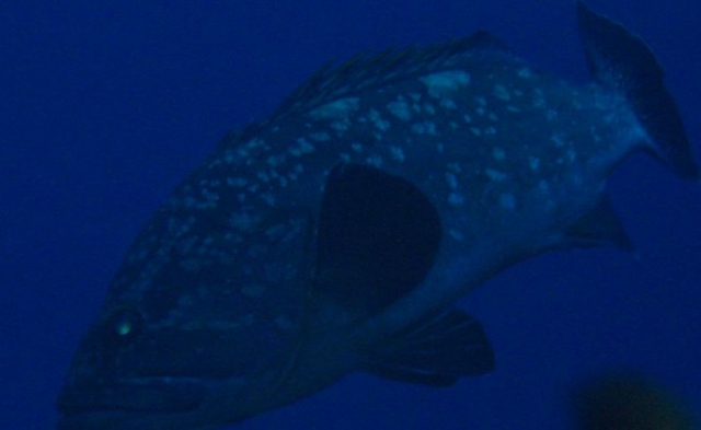  Reuniones especiales 